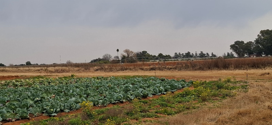 Commercial Property for Sale in Bainsvlei Free State